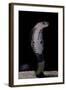Naja Siamensis (Indo-Chinese Spitting Cobra)-Paul Starosta-Framed Photographic Print