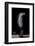 Naja Siamensis (Indo-Chinese Spitting Cobra)-Paul Starosta-Framed Photographic Print