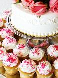 Wedding Cake/Cupcakes-nakactress-Photographic Print