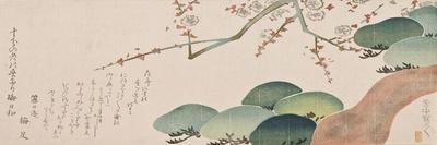 Pine Tree and Plum Blossom, 1810-30-Nakamura Hochu-Framed Stretched Canvas