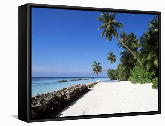 Nakatchafushi, Maldives, Indian Ocean-Robert Harding-Framed Stretched Canvas