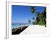Nakatchafushi, Maldives, Indian Ocean-Robert Harding-Framed Photographic Print