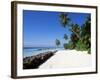 Nakatchafushi, Maldives, Indian Ocean-Robert Harding-Framed Photographic Print