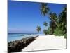 Nakatchafushi, Maldives, Indian Ocean-Robert Harding-Mounted Photographic Print