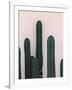 Naked Cactus-PhotoINC Studio-Framed Art Print