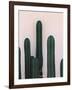 Naked Cactus-PhotoINC Studio-Framed Art Print