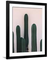 Naked Cactus-PhotoINC Studio-Framed Art Print