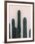 Naked Cactus-PhotoINC Studio-Framed Art Print