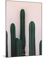 Naked Cactus-PhotoINC Studio-Mounted Art Print