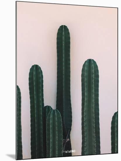 Naked Cactus-PhotoINC Studio-Mounted Art Print