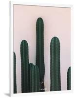 Naked Cactus-PhotoINC Studio-Framed Art Print