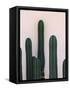 Naked Cactus-PhotoINC Studio-Framed Stretched Canvas