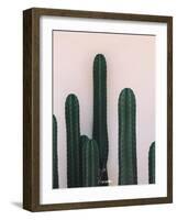 Naked Cactus-PhotoINC Studio-Framed Art Print