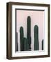 Naked Cactus-PhotoINC Studio-Framed Art Print