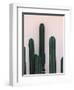 Naked Cactus-PhotoINC Studio-Framed Art Print