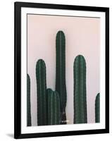 Naked Cactus-PhotoINC Studio-Framed Art Print