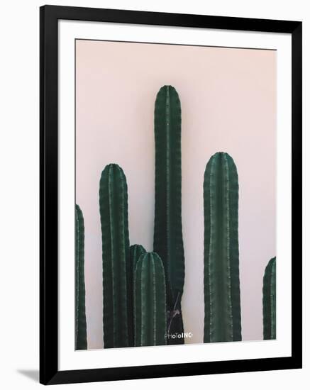 Naked Cactus-PhotoINC Studio-Framed Art Print