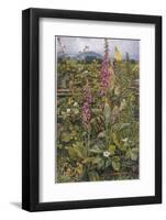 Naked Fairies Among the Foxgloves in Ancient Britain-Eleanor Fortescue Brickdale-Framed Photographic Print