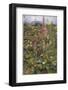 Naked Fairies Among the Foxgloves in Ancient Britain-Eleanor Fortescue Brickdale-Framed Photographic Print