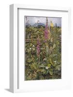 Naked Fairies Among the Foxgloves in Ancient Britain-Eleanor Fortescue Brickdale-Framed Photographic Print