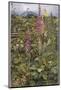 Naked Fairies Among the Foxgloves in Ancient Britain-Eleanor Fortescue Brickdale-Mounted Photographic Print