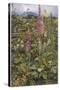 Naked Fairies Among the Foxgloves in Ancient Britain-Eleanor Fortescue Brickdale-Stretched Canvas