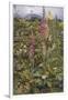 Naked Fairies Among the Foxgloves in Ancient Britain-Eleanor Fortescue Brickdale-Framed Premium Photographic Print