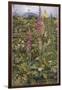 Naked Fairies Among the Foxgloves in Ancient Britain-Eleanor Fortescue Brickdale-Framed Premium Photographic Print