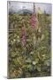 Naked Fairies Among the Foxgloves in Ancient Britain-Eleanor Fortescue Brickdale-Mounted Photographic Print