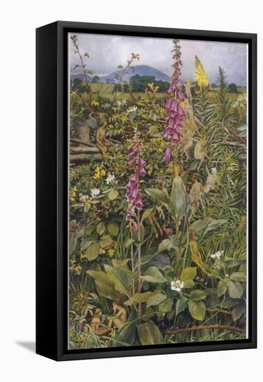 Naked Fairies Among the Foxgloves in Ancient Britain-Eleanor Fortescue Brickdale-Framed Stretched Canvas