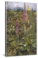 Naked Fairies Among the Foxgloves in Ancient Britain-Eleanor Fortescue Brickdale-Stretched Canvas