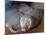 Naked Mole Rats-null-Mounted Photographic Print