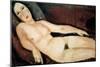 Naked on a Couch. Painting by Amedeo MODIGLIANI (1884-1920), 1918. Oil on Canvas. Washington. Natio-Amedeo Modigliani-Mounted Giclee Print