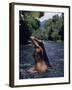 Naked Tahitian Woman Bathing in a River-null-Framed Photographic Print