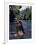 Naked Tahitian Woman Bathing in a River-null-Framed Photographic Print