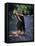 Naked Tahitian Woman Bathing in a River-null-Framed Stretched Canvas