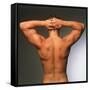 Naked Torso (back View) of An Athletic Young Man-Phil Jude-Framed Stretched Canvas