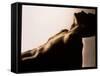 Naked Torso (side View) of An Athletic Young Man-Phil Jude-Framed Stretched Canvas