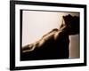 Naked Torso (side View) of An Athletic Young Man-Phil Jude-Framed Photographic Print