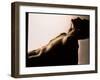 Naked Torso (side View) of An Athletic Young Man-Phil Jude-Framed Photographic Print