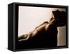 Naked Torso (side View) of An Athletic Young Man-Phil Jude-Framed Stretched Canvas