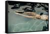Naked woman diving in swimming pool-Panoramic Images-Framed Stretched Canvas