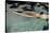 Naked woman diving in swimming pool-Panoramic Images-Stretched Canvas