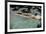 Naked woman diving in swimming pool-Panoramic Images-Framed Photographic Print