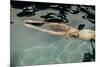 Naked woman diving in swimming pool-Panoramic Images-Mounted Photographic Print