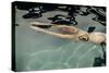 Naked woman diving in swimming pool-Panoramic Images-Stretched Canvas