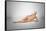 Naked Woman Laying Down with Skeletal Bones Superimposed-null-Framed Stretched Canvas