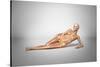 Naked Woman Laying Down with Skeletal Bones Superimposed-null-Stretched Canvas