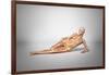 Naked Woman Laying Down with Skeletal Bones Superimposed-null-Framed Art Print