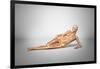 Naked Woman Laying Down with Skeletal Bones Superimposed-null-Framed Art Print